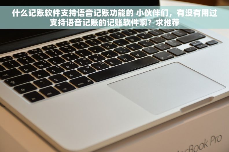 什么记账软件支持语音记账功能的 小伙伴们，有没有用过支持语音记账的记账软件啊？求推荐