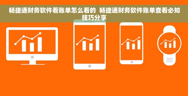 畅捷通财务软件看账单怎么看的  畅捷通财务软件账单查看必知技巧分享