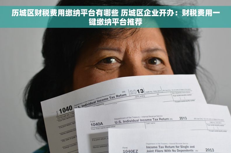 历城区财税费用缴纳平台有哪些 历城区企业开办：财税费用一键缴纳平台推荐