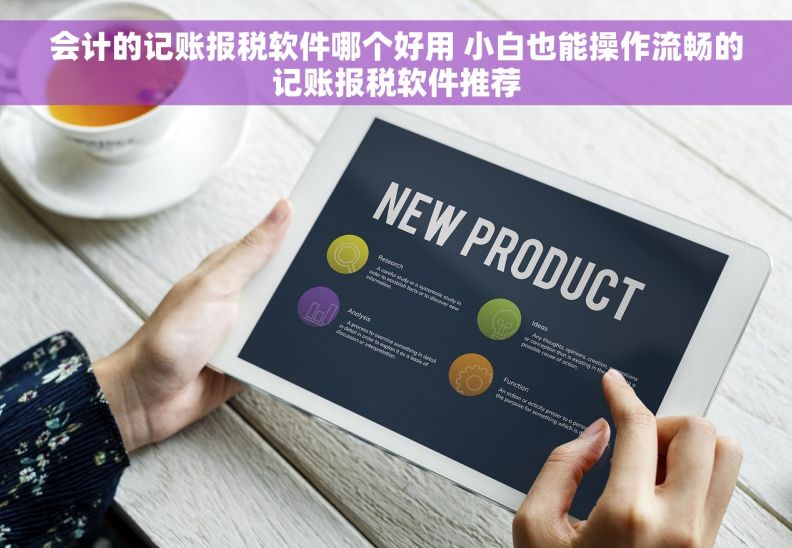 会计的记账报税软件哪个好用 小白也能操作流畅的记账报税软件推荐