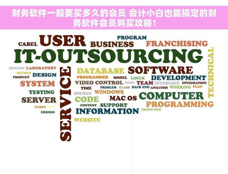 财务软件一般要买多久的会员 会计小白也能搞定的财务软件会员购买攻略！