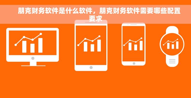     朋克财务软件是什么软件，朋克财务软件需要哪些配置要求