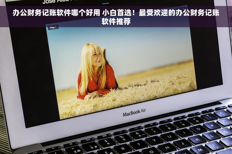 办公财务记账软件哪个好用 小白首选！最受欢迎的办公财务记账软件推荐