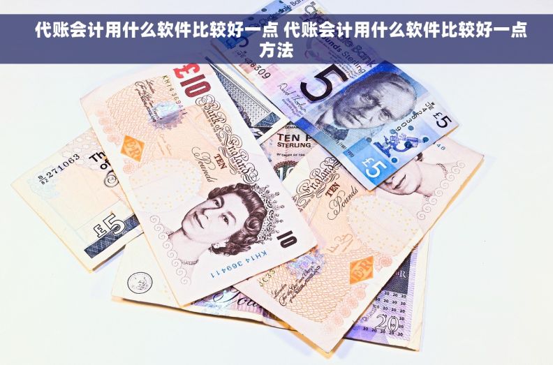   代账会计用什么软件比较好一点 代账会计用什么软件比较好一点方法