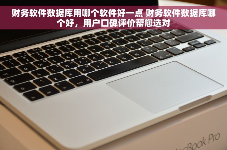 财务软件数据库用哪个软件好一点 财务软件数据库哪个好，用户口碑评价帮您选对