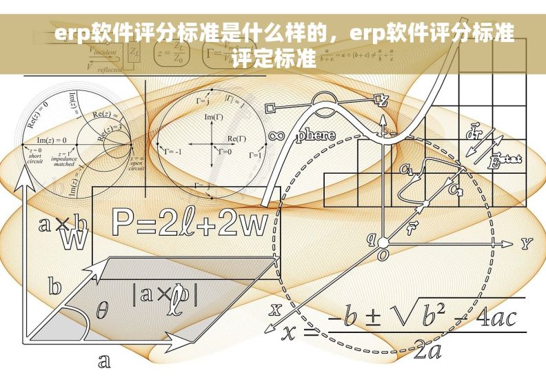     erp软件评分标准是什么样的，erp软件评分标准评定标准