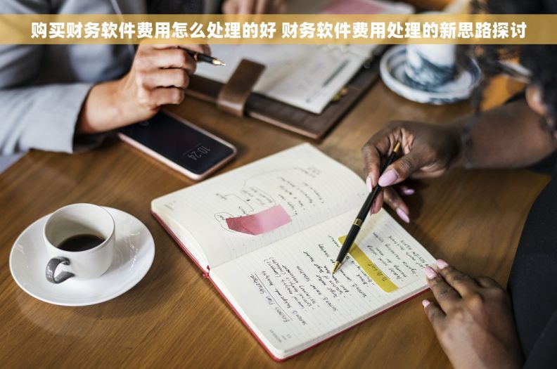 购买财务软件费用怎么处理的好 财务软件费用处理的新思路探讨