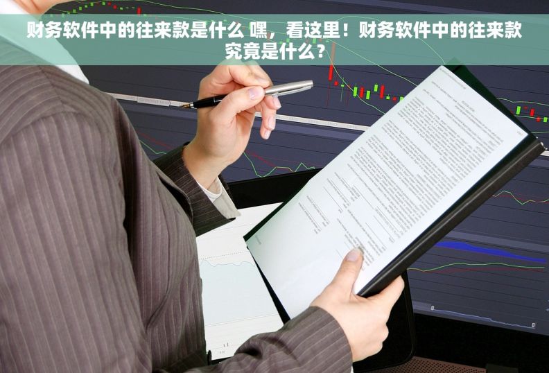 财务软件中的往来款是什么 嘿，看这里！财务软件中的往来款究竟是什么？
