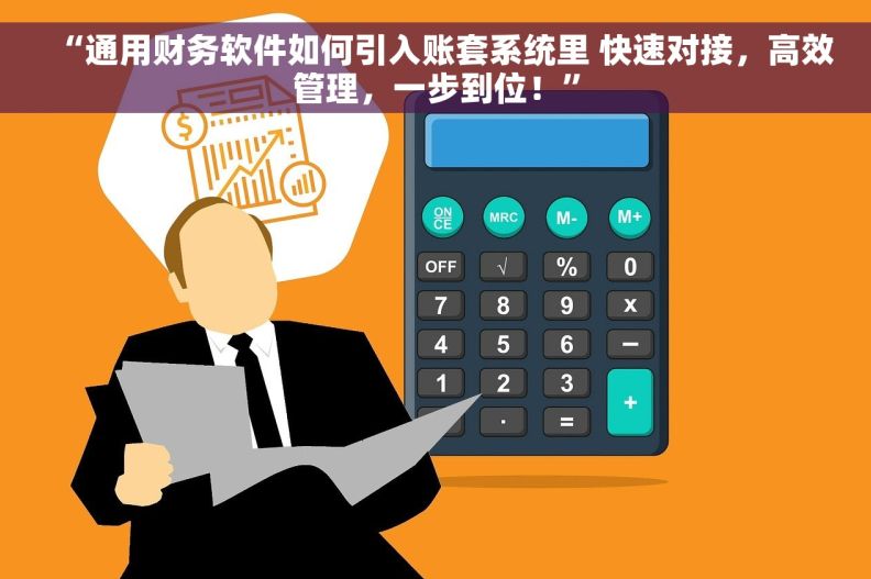 “通用财务软件如何引入账套系统里 快速对接，高效管理，一步到位！”