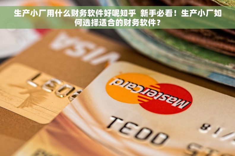 生产小厂用什么财务软件好呢知乎  新手必看！生产小厂如何选择适合的财务软件？