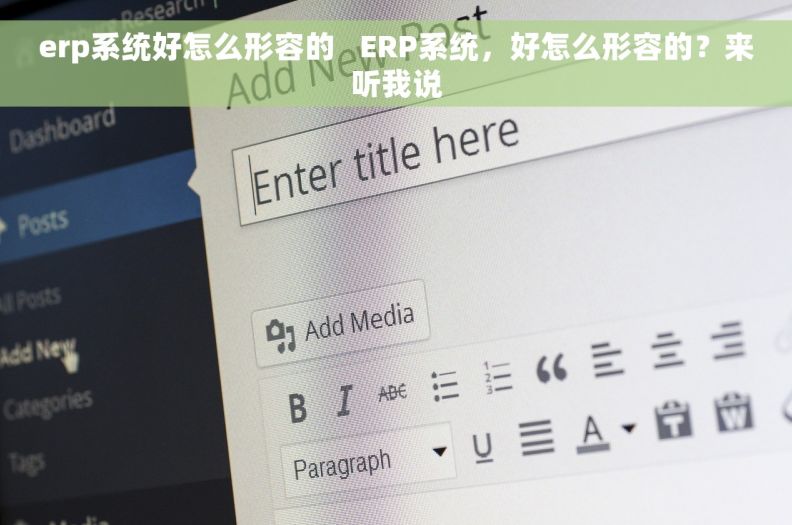 erp系统好怎么形容的   ERP系统，好怎么形容的？来听我说
