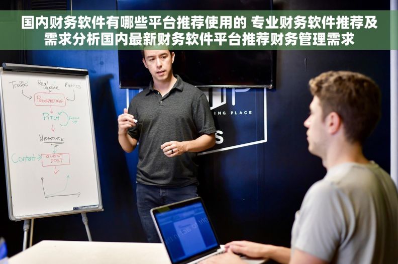 国内财务软件有哪些平台推荐使用的 专业财务软件推荐及需求分析国内最新财务软件平台推荐财务管理需求