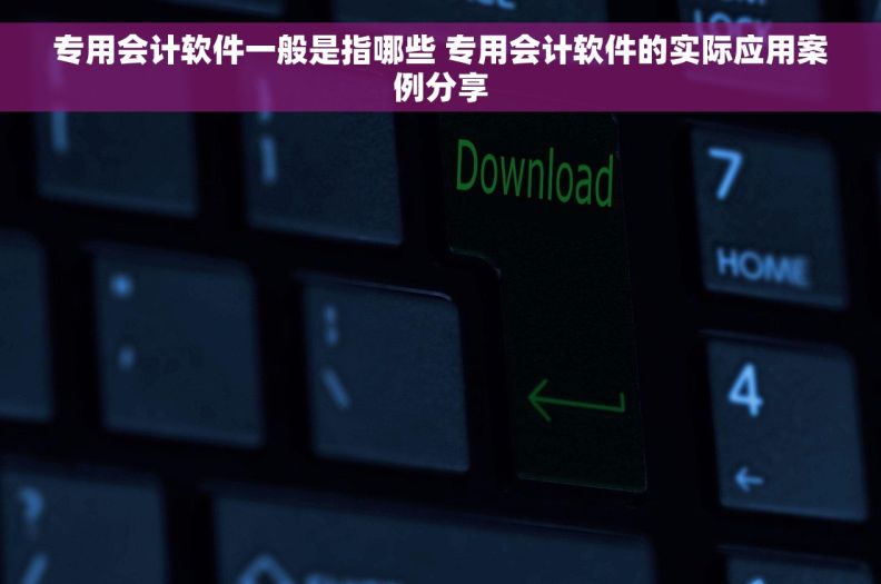 专用会计软件一般是指哪些 专用会计软件的实际应用案例分享