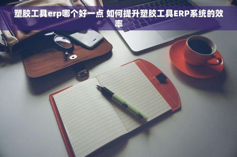 塑胶工具erp哪个好一点 如何提升塑胶工具ERP系统的效率