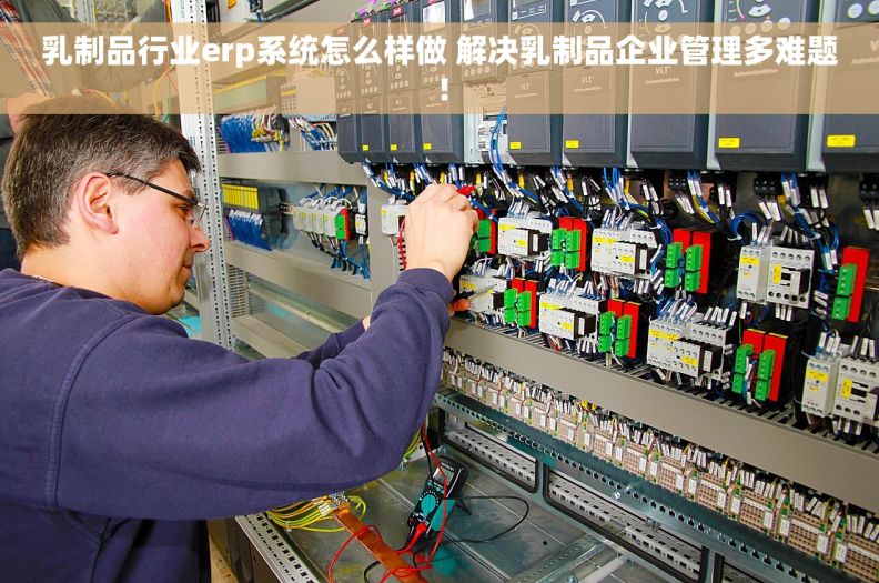 乳制品行业erp系统怎么样做 解决乳制品企业管理多难题！