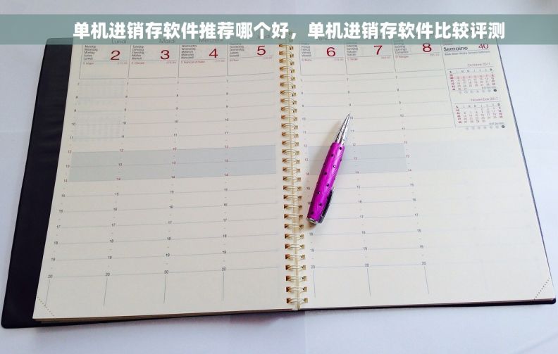     单机进销存软件推荐哪个好，单机进销存软件比较评测