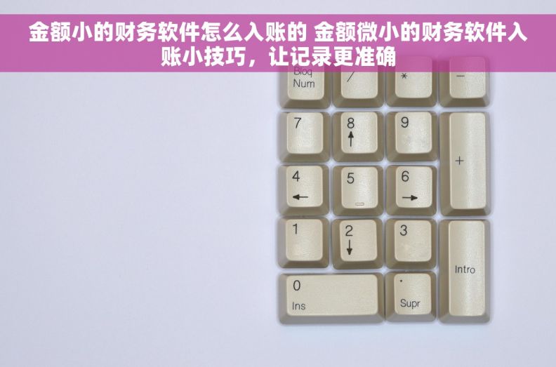 金额小的财务软件怎么入账的 金额微小的财务软件入账小技巧，让记录更准确