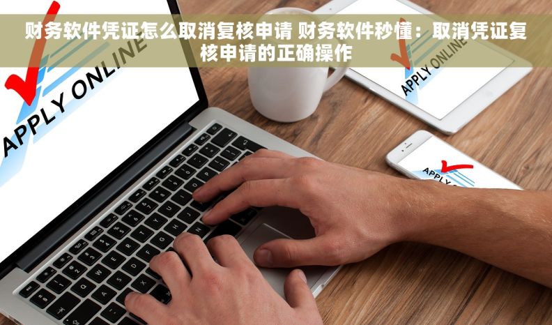 财务软件凭证怎么取消复核申请 财务软件秒懂：取消凭证复核申请的正确操作