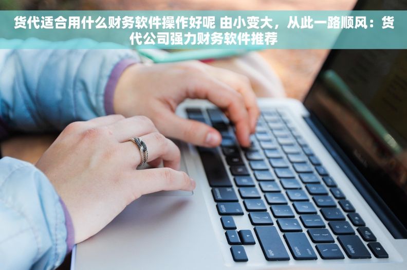 货代适合用什么财务软件操作好呢 由小变大，从此一路顺风：货代公司强力财务软件推荐