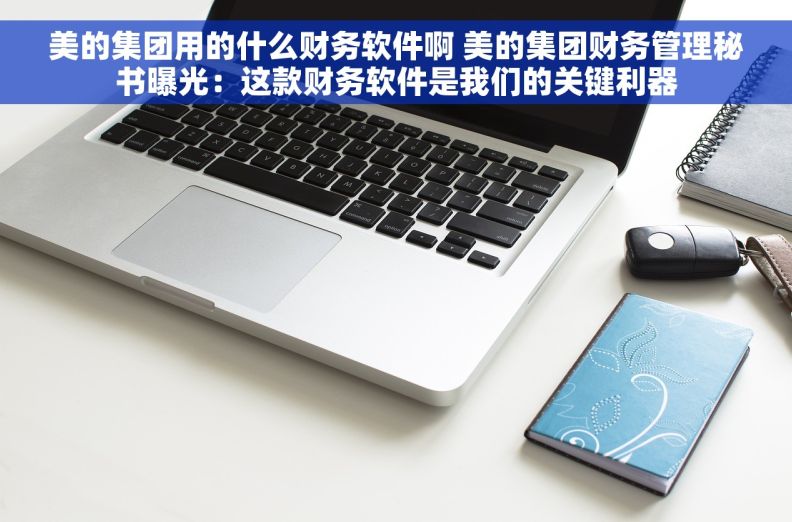 美的集团用的什么财务软件啊 美的集团财务管理秘书曝光：这款财务软件是我们的关键利器