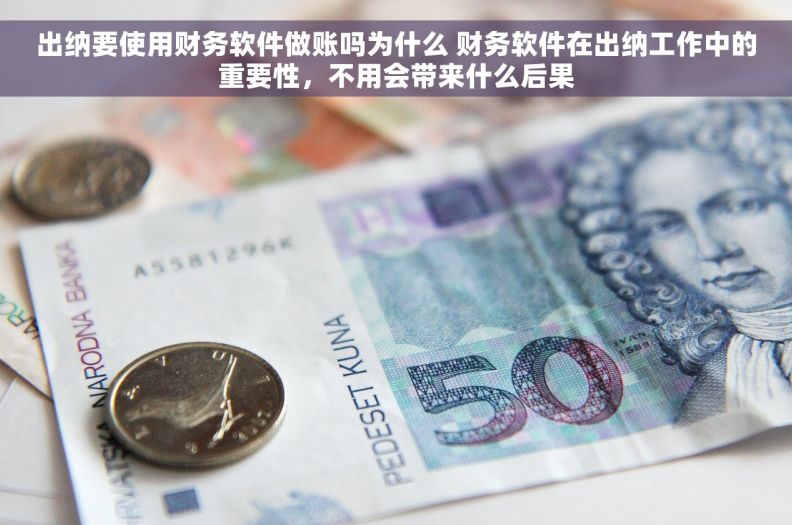 出纳要使用财务软件做账吗为什么 财务软件在出纳工作中的重要性，不用会带来什么后果