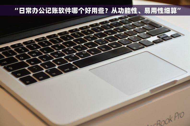 “日常办公记账软件哪个好用些？从功能性、易用性细算”