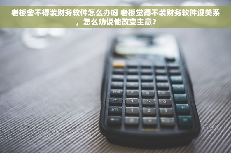 老板舍不得装财务软件怎么办呀 老板觉得不装财务软件没关系，怎么劝说他改变主意？