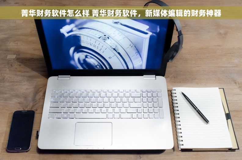 菁华财务软件怎么样 菁华财务软件，新媒体编辑的财务神器