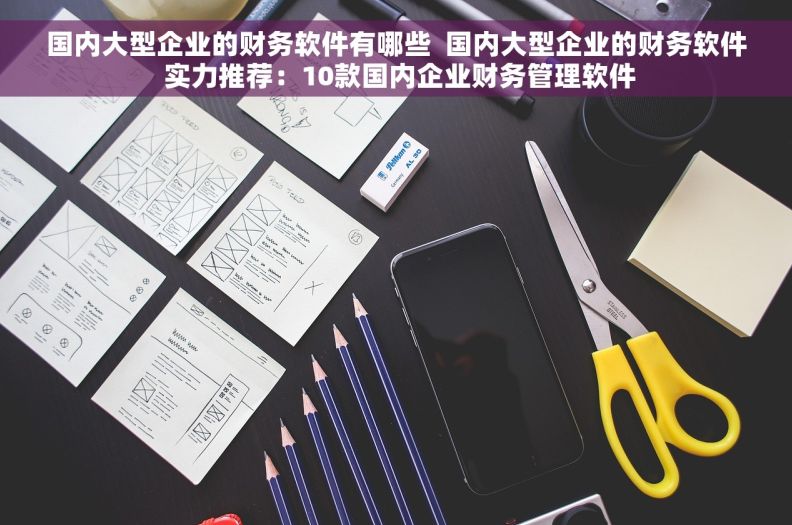 国内大型企业的财务软件有哪些  国内大型企业的财务软件 实力推荐：10款国内企业财务管理软件