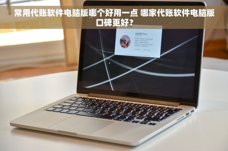 常用代账软件电脑版哪个好用一点 哪家代账软件电脑版口碑更好？