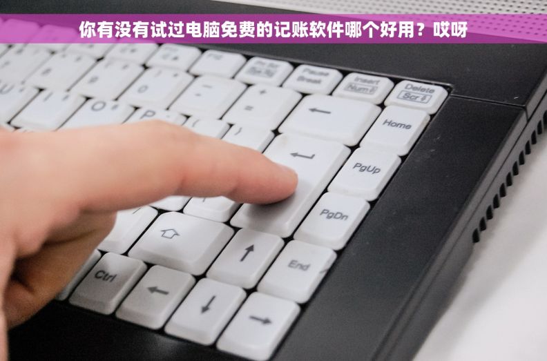 你有没有试过电脑免费的记账软件哪个好用？哎呀
