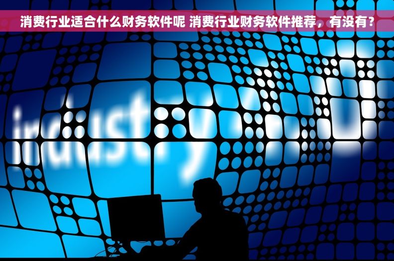 消费行业适合什么财务软件呢 消费行业财务软件推荐，有没有？