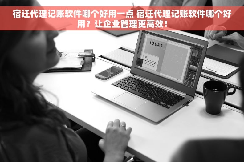宿迁代理记账软件哪个好用一点 宿迁代理记账软件哪个好用？让企业管理更高效！