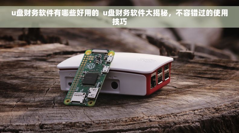 u盘财务软件有哪些好用的  u盘财务软件大揭秘，不容错过的使用技巧