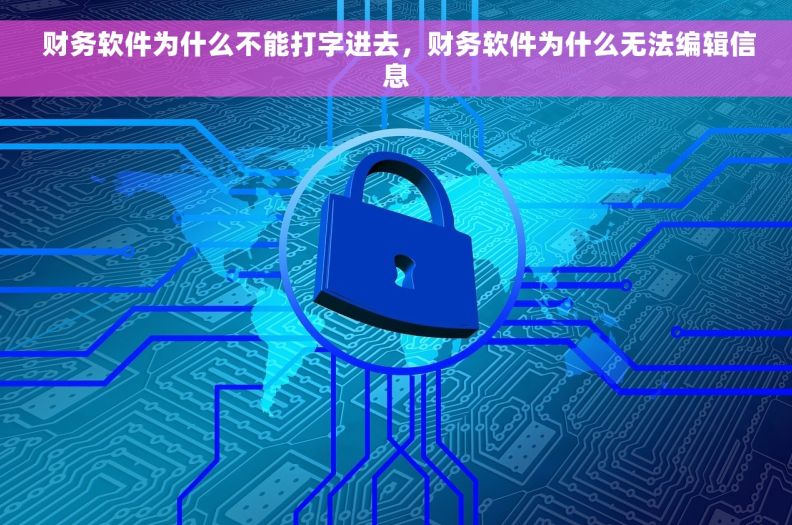  财务软件为什么不能打字进去，财务软件为什么无法编辑信息