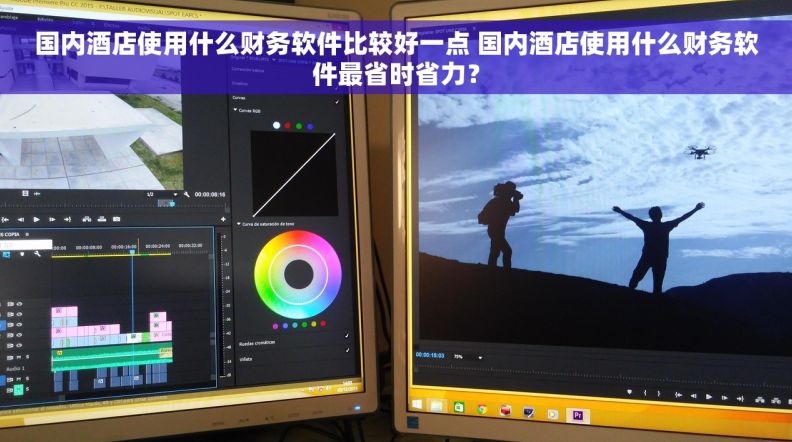 国内酒店使用什么财务软件比较好一点 国内酒店使用什么财务软件最省时省力？