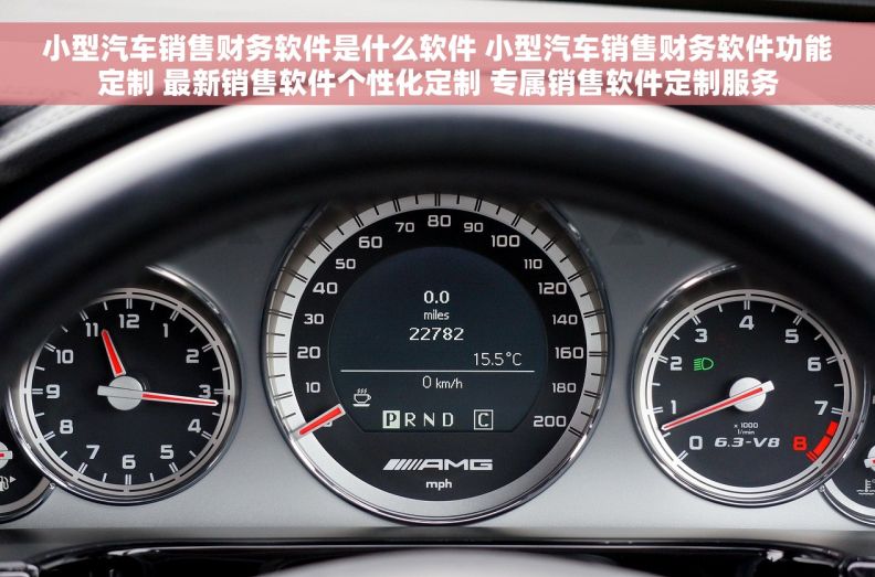 小型汽车销售财务软件是什么软件 小型汽车销售财务软件功能定制 最新销售软件个性化定制 专属销售软件定制服务