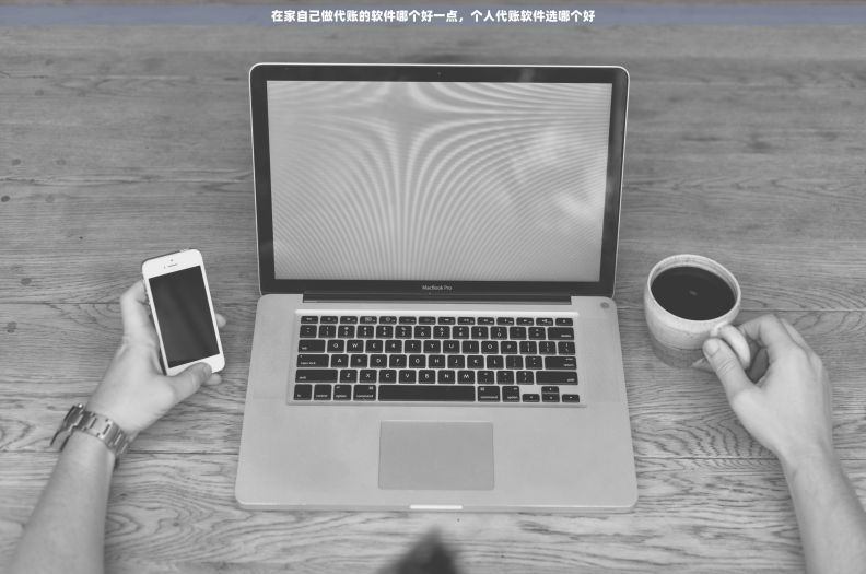在家自己做代账的软件哪个好一点，个人代账软件选哪个好