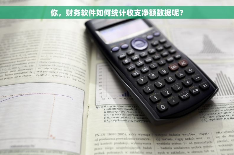 你，财务软件如何统计收支净额数据呢？