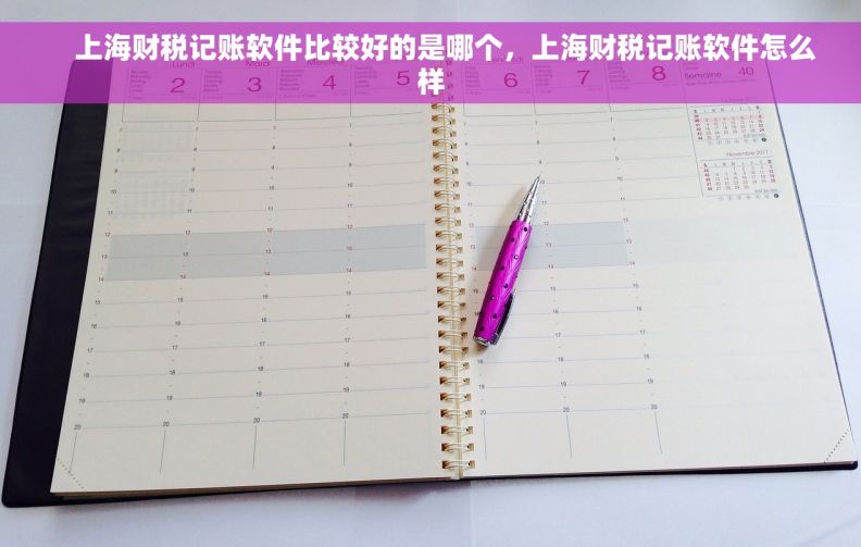     上海财税记账软件比较好的是哪个，上海财税记账软件怎么样