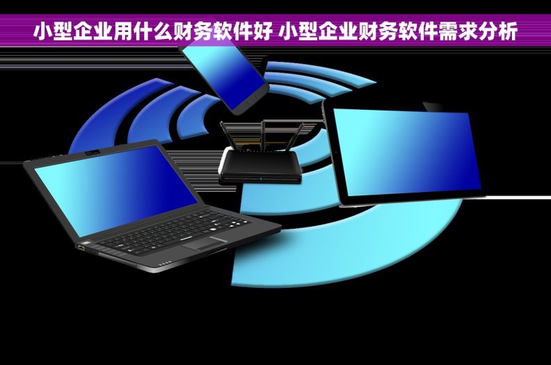 小型企业用什么财务软件好 小型企业财务软件需求分析