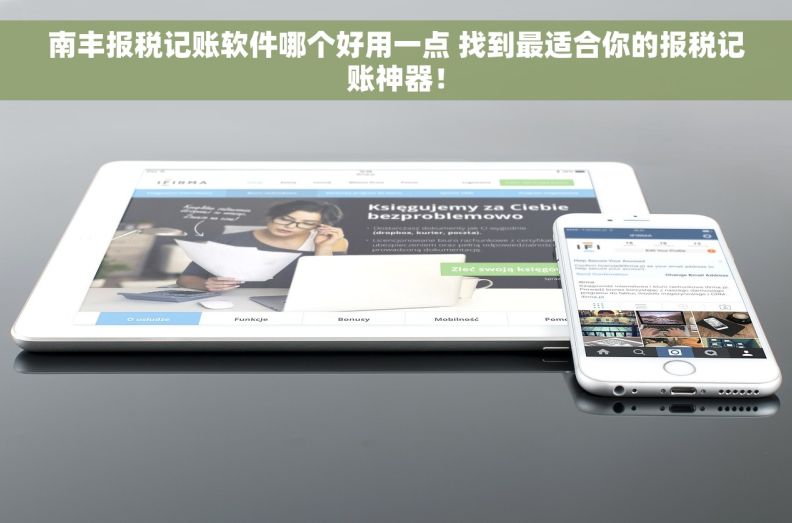 南丰报税记账软件哪个好用一点 找到最适合你的报税记账神器！