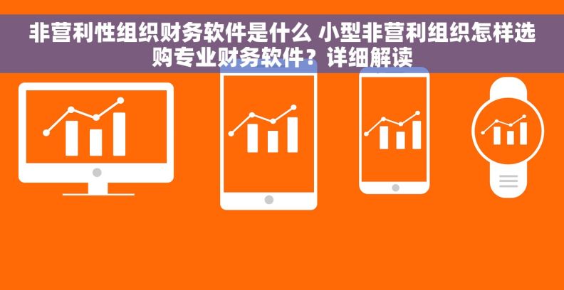 非营利性组织财务软件是什么 小型非营利组织怎样选购专业财务软件？详细解读