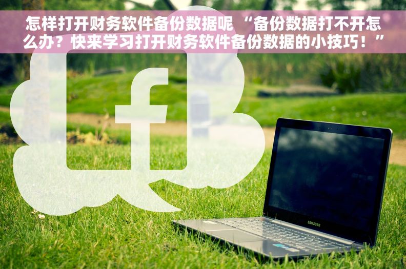 怎样打开财务软件备份数据呢 “备份数据打不开怎么办？快来学习打开财务软件备份数据的小技巧！”