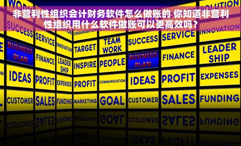 非营利性组织会计财务软件怎么做账的 你知道非营利性组织用什么软件做账可以更高效吗？