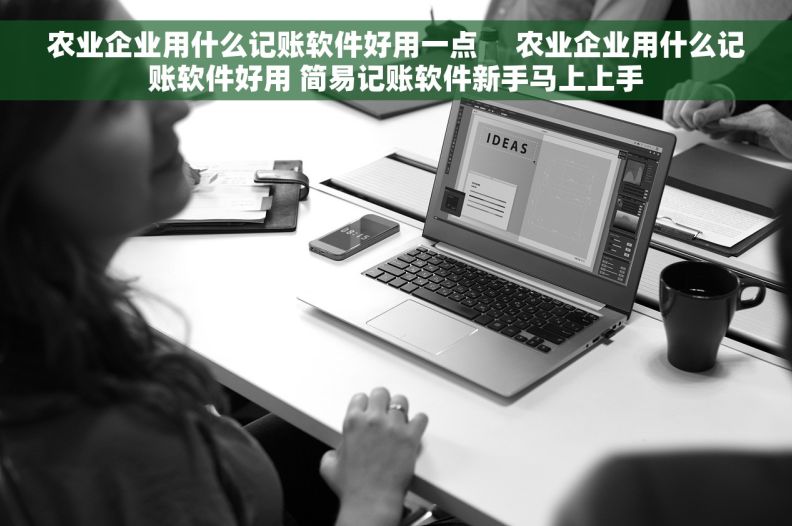 农业企业用什么记账软件好用一点     农业企业用什么记账软件好用 简易记账软件新手马上上手