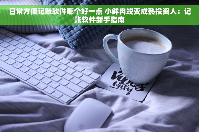 日常方便记账软件哪个好一点 小鲜肉蜕变成熟投资人：记账软件新手指南