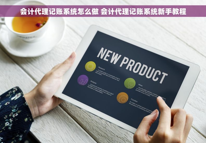 会计代理记账系统怎么做 会计代理记账系统新手教程