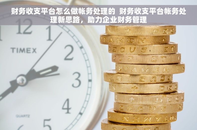 财务收支平台怎么做帐务处理的  财务收支平台帐务处理新思路，助力企业财务管理
