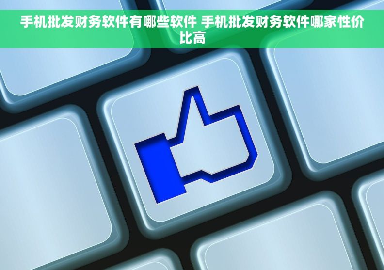 手机批发财务软件有哪些软件 手机批发财务软件哪家性价比高